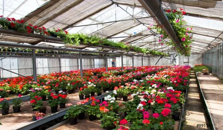 Centros de jardinería modernizan su gestión y utilizan tecnología para mejorar ventas, inventarios y experiencia de compra.