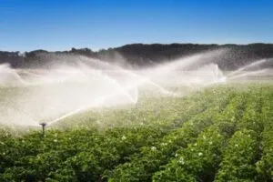 Depósito de agua equipado con sensores inteligentes y un panel solar para monitorear los niveles y evitar desperdicios.