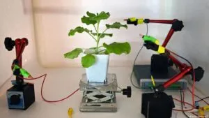 Inteligencia artificial para plantas analiza señales eléctricas mediante sensores para conocer sus necesidades.