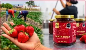 Frascos de mermelada artesanal de frutos rojos sobre una mesa de madera, representando el crecimiento de un emprendimiento mexicano.