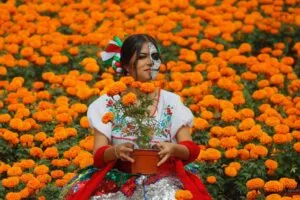 Negocio del cempasúchil con productores mexicanos preparando pedidos de flores vendidos mediante canales digitales.