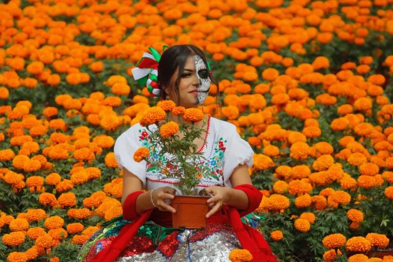 Negocio del cempasúchil con productores mexicanos preparando pedidos de flores vendidos mediante canales digitales.